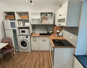 Apartament cu o cameră în vilă, lângă Parcul Central, Grigorescu
