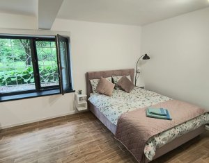 Apartament cu o cameră în vilă, lângă Parcul Central, Grigorescu
