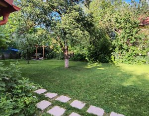 Apartament cu o cameră în vilă, lângă Parcul Central, Grigorescu