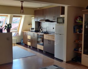 Vanzare apartament 2 camere in Floresti